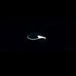 Fat round/oval short - Image 3
